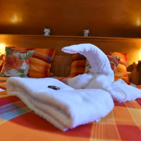 Otel Hotel-pension Teutonia Braunlage