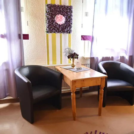 Otel Hotel-pension Teutonia Braunlage