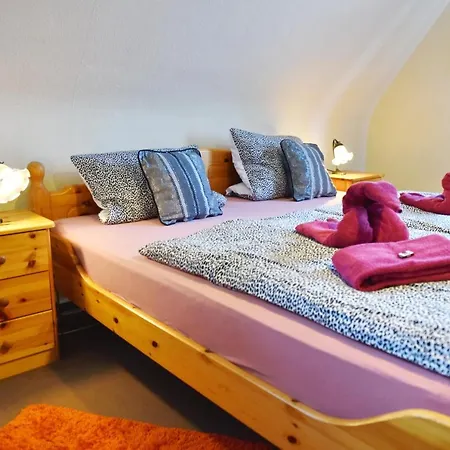 Hotel-pension Teutonia Otel Braunlage