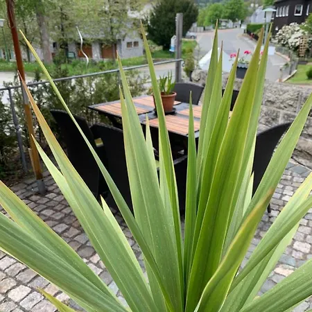 Hotel-pension Teutonia Braunlage