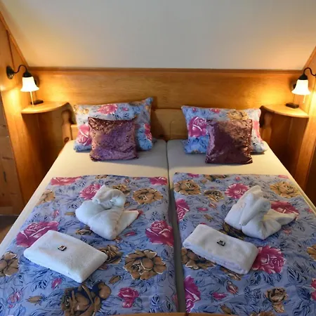 Hotel Hotel-pension Teutonia