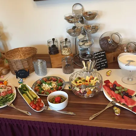 Hotel Hotel-pension Teutonia Braunlage