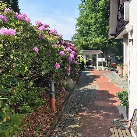 Hotel Hotel-pension Teutonia Braunlage