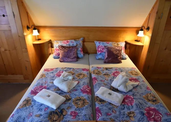 Otel Hotel-pension Teutonia