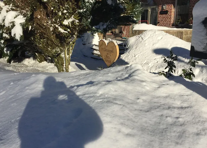 Otel Hotel-pension Teutonia 2*