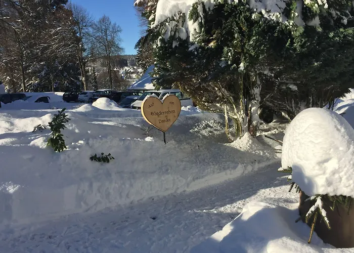 Otel Hotel-pension Teutonia 2*